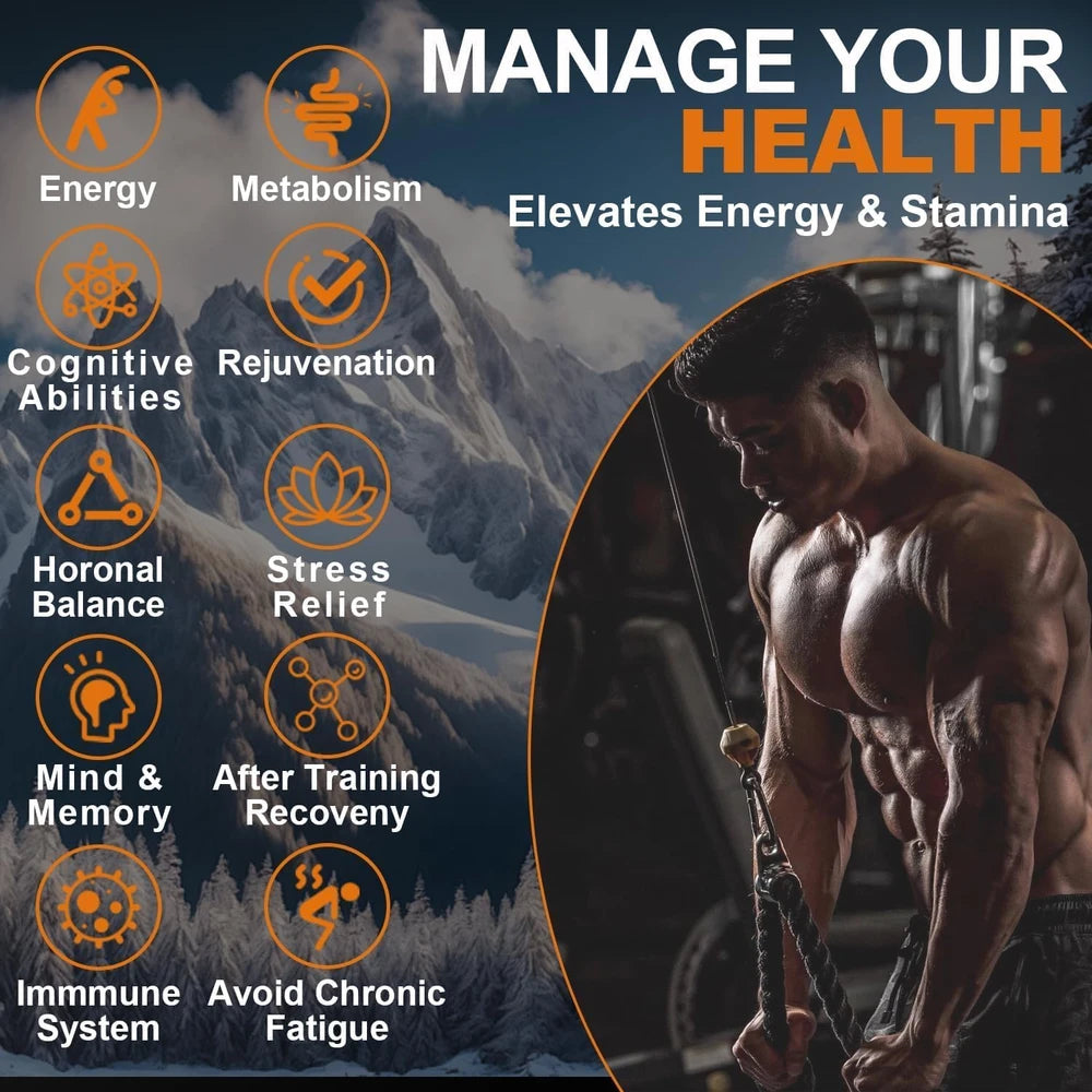 Himalayan Shilajit Resin Supplement for Daily Energy